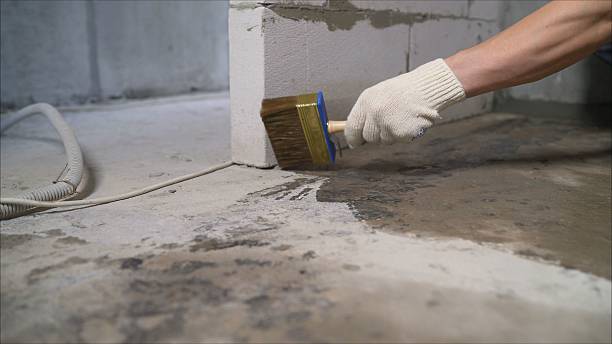 24/7 Emergency Crawl Space Encapsulation experts in Upper Black Eddy, PA